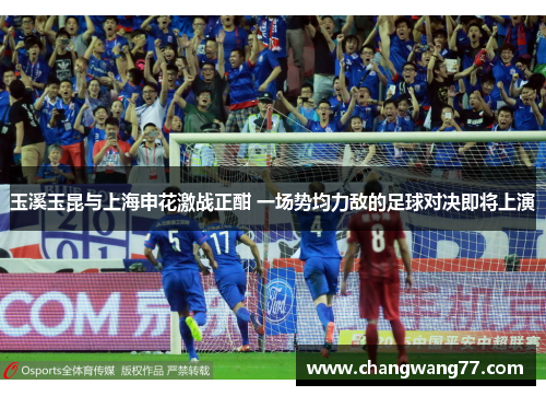 玉溪玉昆与上海申花激战正酣 一场势均力敌的足球对决即将上演