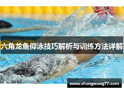 六角龙鱼仰泳技巧解析与训练方法详解