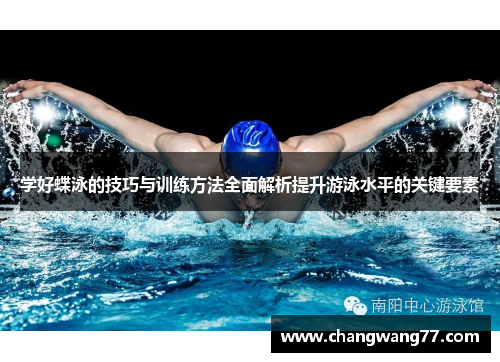 学好蝶泳的技巧与训练方法全面解析提升游泳水平的关键要素