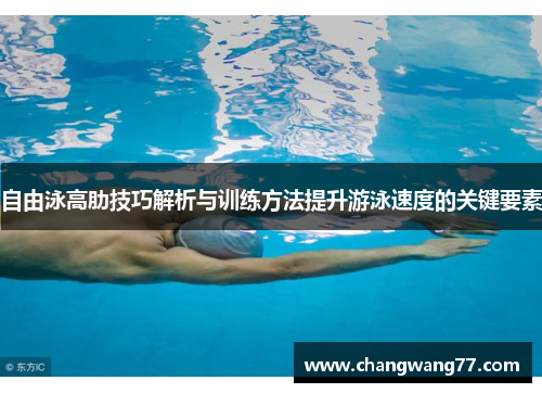 自由泳高肋技巧解析与训练方法提升游泳速度的关键要素