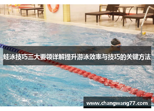 蛙泳技巧三大要领详解提升游泳效率与技巧的关键方法