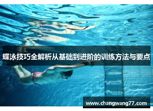 蝶泳技巧全解析从基础到进阶的训练方法与要点